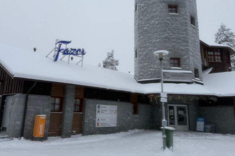 Rovaniemi: Ranua Zoo Guided Tour with Transfers