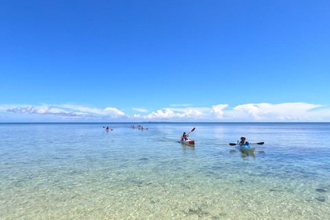 Okinawa: Private Kayak Mangrove or Reef with Native EnglishOkinawa: Private Kayak Tour with English-Speaking Guide