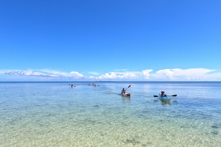 Okinawa: Private Kayak Mangrove or Reef with Native EnglishOkinawa: Private Kayak Tour with English-Speaking Guide