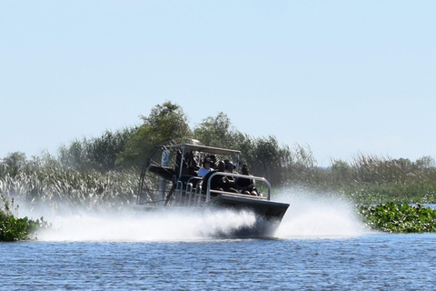 New Orleans: Ultimate Small Airboat Swamp TourMed upphämtning