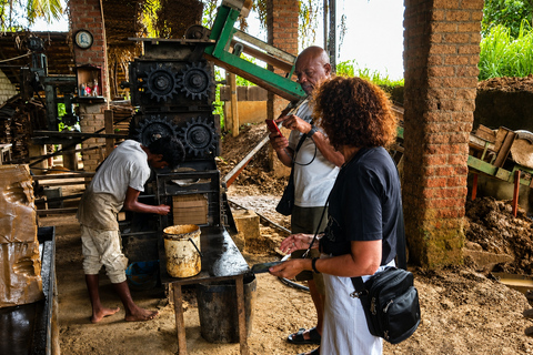 From Negombo: Private Tuk-Tuk Tour to Clay Tile Factory