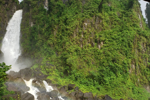 Roseau: Titou Gorge, Hot Spring, Falls & Champagne Reef Tour