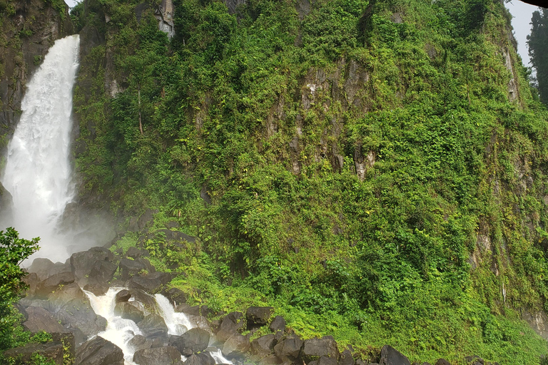 Roseau: Titou Gorge, Hot Spring, Falls & Champagne Reef Tour