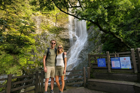Chuncheon: Gugok Falls, Arboretum & Dakgalbi Tour