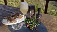 Olbia, visita un seminario originale Myrtle Gin con la degustazione - Housity