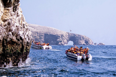 Desde Lima:Excursión de un día a las Islas Ballestas-Oasis de Huacachina