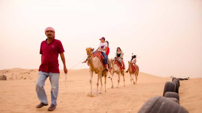 dinner traditional show in the desert 5hour tour