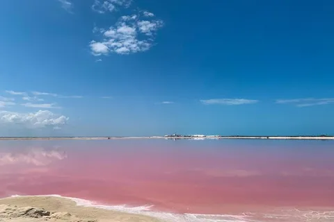 Full-Day Tour to Rio Lagartos and Coloradas with …