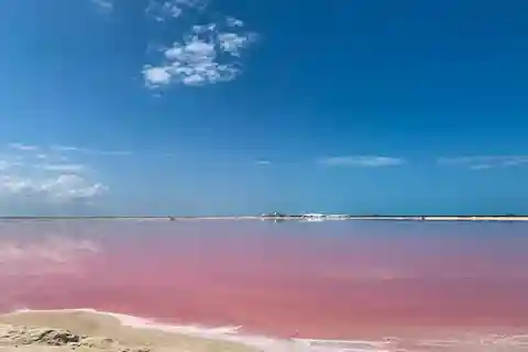 Excursão de 1 dia a Rio Lagartos e Coloradas com ...