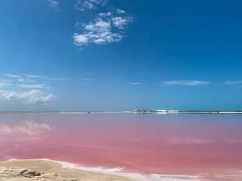 Tour de día completo a Río Lagartos y Coloradas con ...