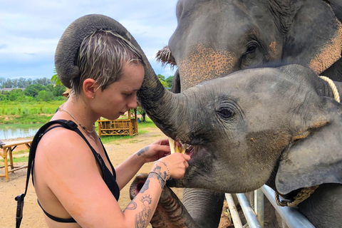 Tour della città di Phuket con avventura in ATV e alimentazione di elefantiServizio di prelievo in hotel a Patong, Karon o Kata Beach