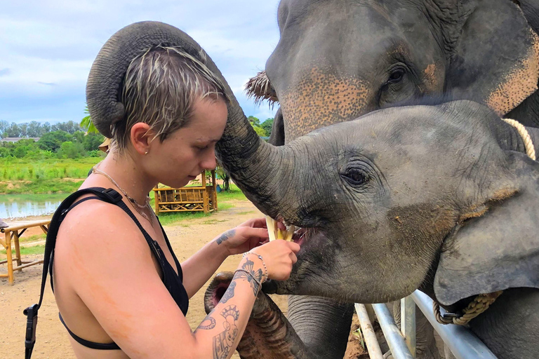 City tour em Phuket com pontos de vista, templos e alimentação de elefantesServiço de busca no hotel em Patong, Karon ou Kata Beach