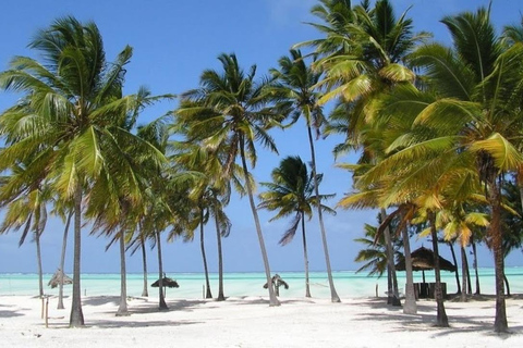 Zanzibar: Floresta Jozani + visita à caverna Kuza e passeio pela praia de Paje