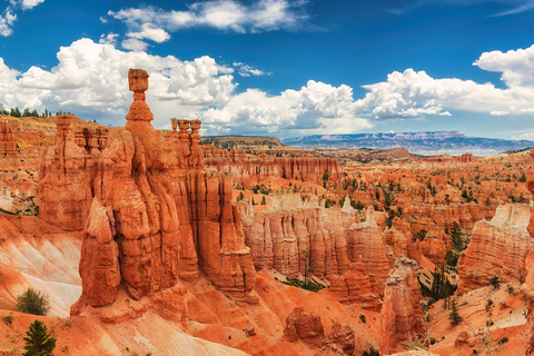 LA: San Francisco, Yosemite, Vegas, Grand Canyon 7-Day Tour