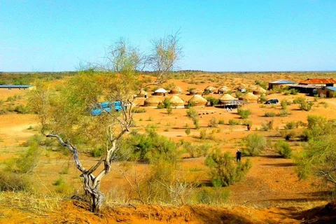 Tour do deserto de Kyzylkum saindo de Bukhara (1 noite e 2 dias)