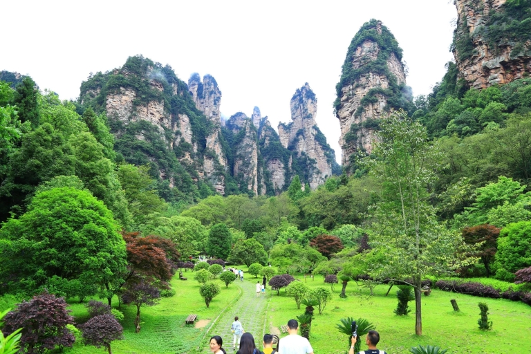 Circuit d'une journée au parc forestier national de Zhangjiajie