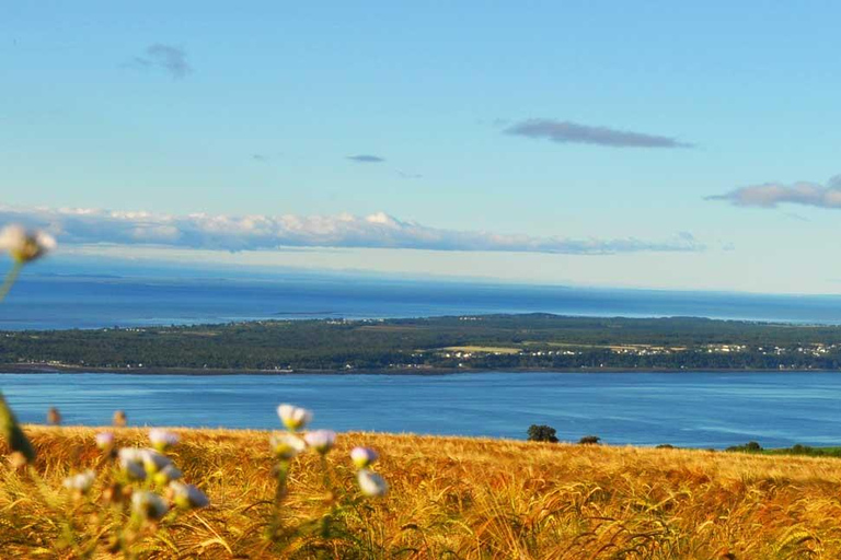 Montreal: Charlevoix, Canyon St-Anne, Whale Watch 2-Day Trip