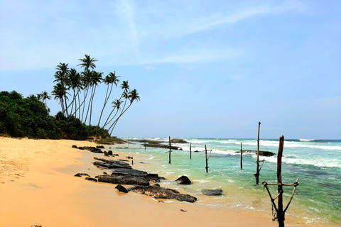 From Colombo: 2-Day Southern Coast Wildlife & Heritage Tour