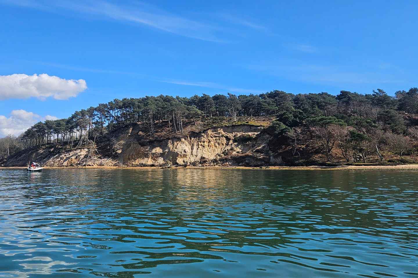 Poole Harbour, Inghilterra: Noleggio barca senza skipper