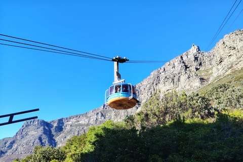 Cape Town: Table Mountain Fast Track & Stellenbosch Tour