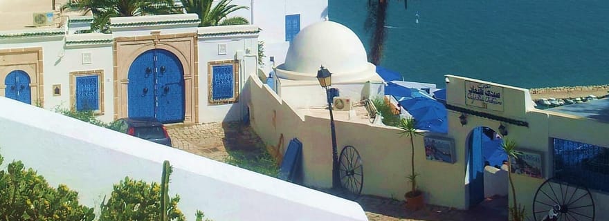 Tunis : Médina, Carthage, Sidi Bousaid Excursion privée avec déjeuner
