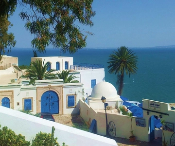Medina, Carthage, Sidi Bousaid Private Trip w/ Lunch