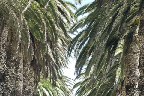 Walvis Bay: Cruiseliner Excursions