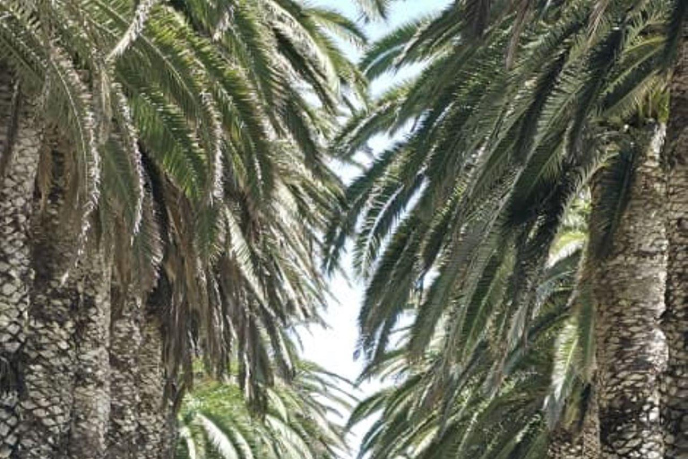 Walvis Bay: Cruiseliner Excursions