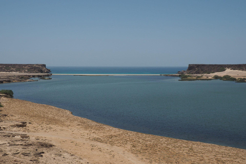 Salalah: Private East Salalah Tour — Half or Full Day Full day 4x4 (4)