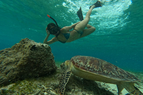 Snorkeltour naar beeld onder water en schildpaddenSnorkeltour bij zonsondergang