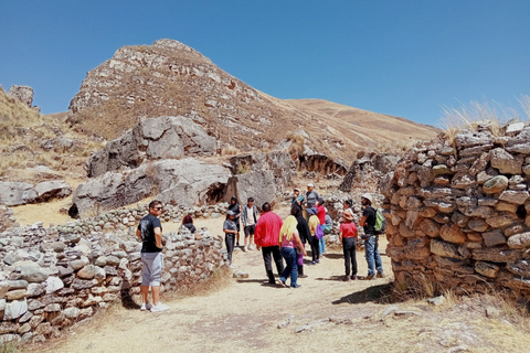 Huancayo: Shutjo Canyon, Puya de Raimondi, and Thermal Baths