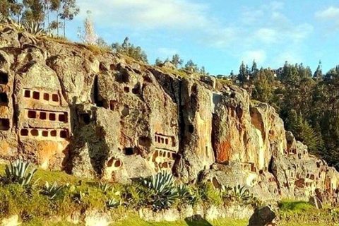 Excursión a las Ventanillas de Otuzco + granja tres Molinos