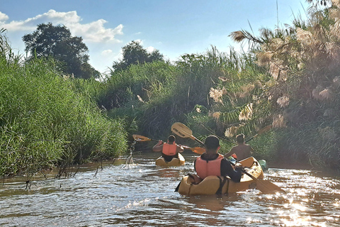 Chiang Mai: Natura e campagna in bicicletta per un'intera giornataVisita guidata in inglese