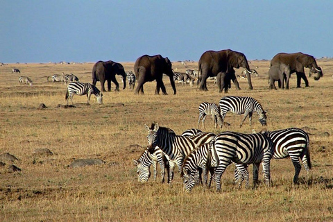 Safari di 2 giorni nel Parco Nazionale di AmboseliSafari di 2 giorni nel Parco Nazionale dell'Amboseli