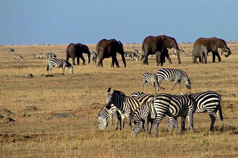 Safari di 2 giorni nel Parco Nazionale di AmboseliSafari di 2 giorni nel Parco Nazionale dell'Amboseli