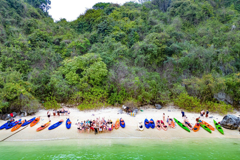 Swan Cruises Explore Hidden Bai Tu Long Bay - All Inclusive 2D1N Cruise Only