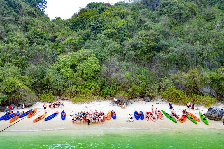 Swan Cruises Explore Hidden Bai Tu Long Bay - All Inclusive 2D1N Cruise Only