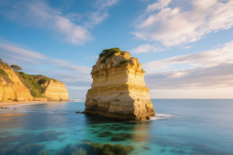 Melbourne Great Ocean Road Benz Small-Group & Coach Tour Great Ocean Road Coach Tour（not Mercedes)