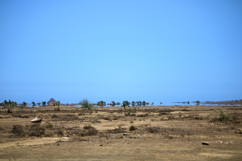 Ilha do Sal, Salinas, Buracona und Tubarão limãoInsel Sal, Salinas, Buracona und Zitronenhai