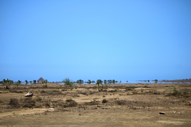 Ilha do Sal, Salinas, Buracona und Tubarão limãoInsel Sal, Salinas, Buracona und Zitronenhai