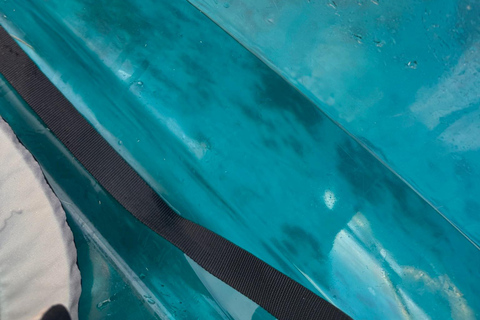 Golfo Aranci: transparent or traditional kayak, dolphins, and aperitif Sunset Tour in a Traditional Kayak with Aperitivo and Dolphins