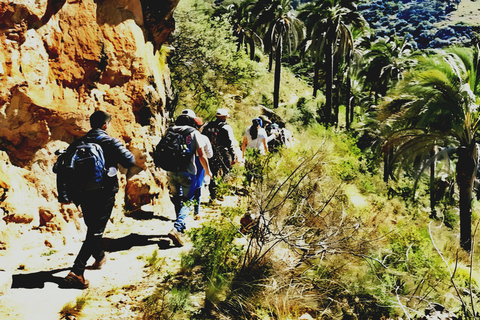 Sucre: 2 Days in El Palmar National Park & Yampara Villages
