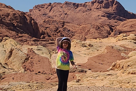 لاس فيغاس: جولة وادي النار ووادي الصخور الحمراء