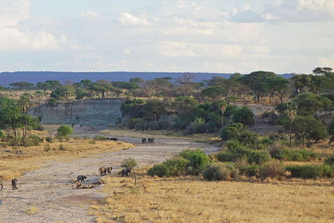 Beste 3-tägige Heiligabend-Safari nach Tarangire und Serengeti