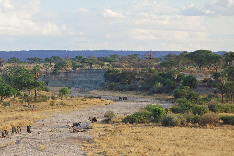 Beste 3-tägige Heiligabend-Safari nach Tarangire und Serengeti