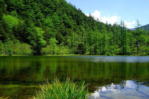 Kamikochi Private Hiking Trip from Tokyo, Nagoya & More From Nagoya: 1-Day Private Trip with Guide