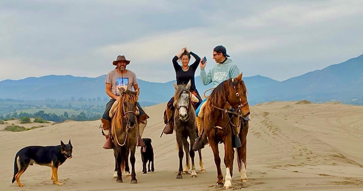 Horseback riding, Penguins, Winery, Alpacas & Cowboy BBQ GetYourGuide