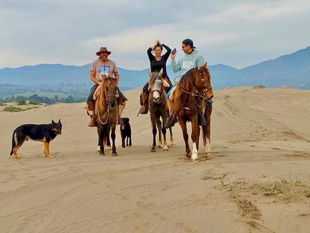 Visit Horseback riding, Penguins, Winery, Alpacas & Cowboy BBQ in Viña del Mar