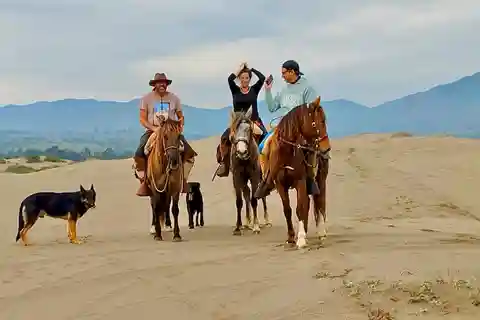 Passeios a cavalo, pinguins, vinícola, alpacas e churrasco de cowboy