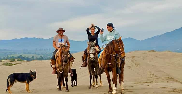 Horseback riding, Penguins, Winery, Alpacas & Cowboy BBQ